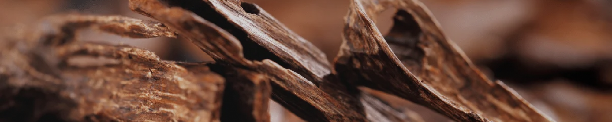 Oud - Afnan Perfumes - India