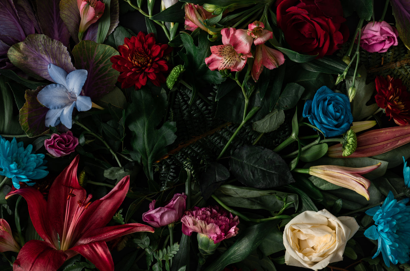 The Renaissance of Floral - Afnan Perfumes - India